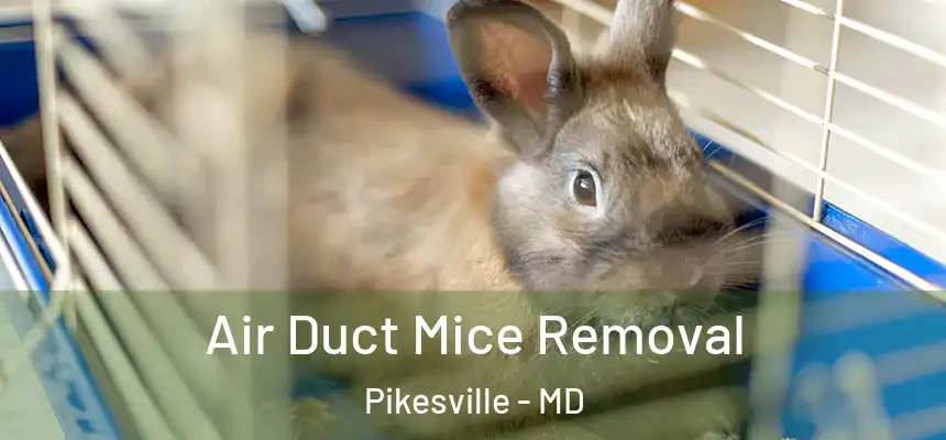  Air Duct Mice Removal Pikesville - MD