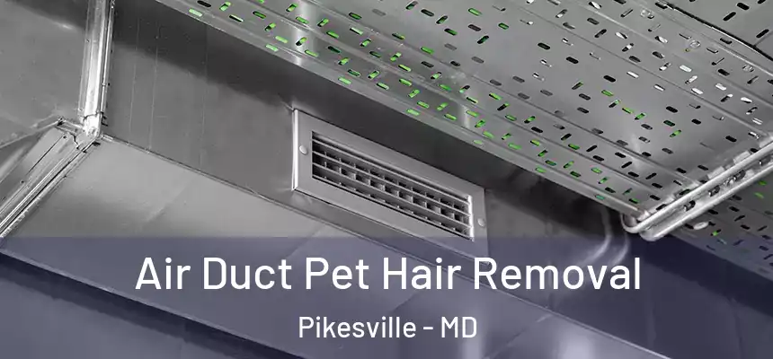  Air Duct Pet Hair Removal Pikesville - MD