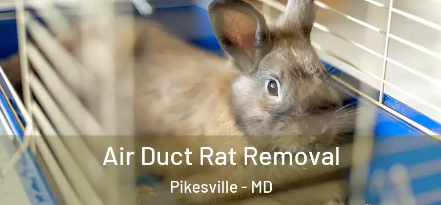 Air Duct Rat Removal Pikesville - MD