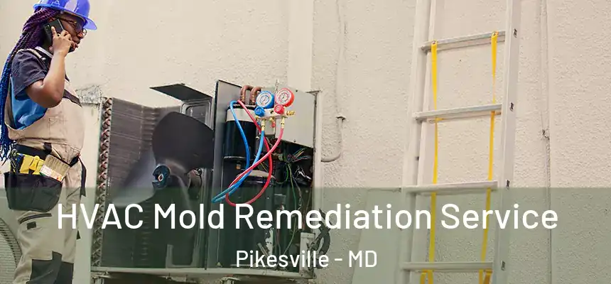  HVAC Mold Remediation Service Pikesville - MD