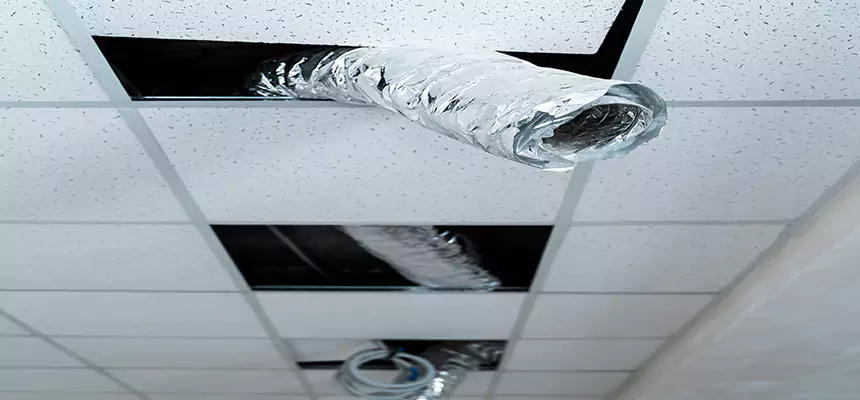 Our Air Duct Pet Hair Removal Services in Pikesville, MD