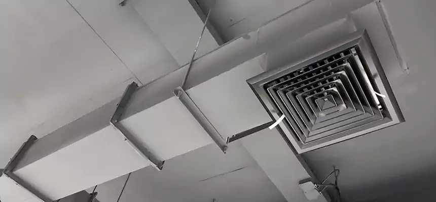 Our Rodent Droppings In Vents Services in Pikesville, MD