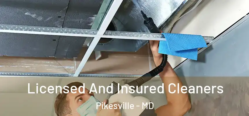 Licensed And Insured Cleaners Pikesville - MD