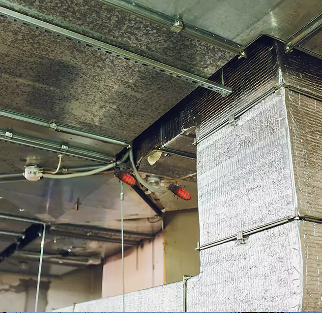 Why Homeowners & Businesses Trust Us in Pikesville, MD?