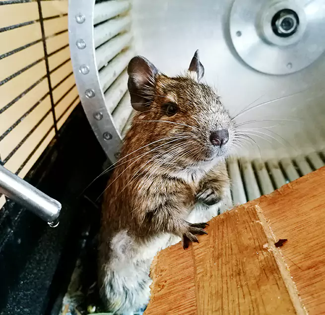 Why Homeowners & Businesses Trust Us Pikesville, MD